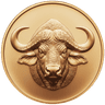 Bronze